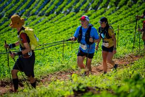 BIB: 345
                            <button type="button" onclick="openModal(19162137)" class="btn btn-primary btn-sm float-right btn-popup" data-toggle="modal" data-target=".modal-high-quality">
                        <i class="fas fa-shopping-cart"></i> Add to Cart
                    </button>
                                            <button type="button" onclick="isThisMe(19162137, true)" class="btn btn-success btn-sm float-right btn-popup btn-isme hidden" data-toggle="tooltip" data-placement="bottom" title="นี่คือรูปของคุณใช่ไหม คลิกที่นี่เพื่อเอาเข้าอัลบั้ม">
                        <i class="fas fa-plus"></i> Add to album
                    </button>
                    <button type="button" onclick="isThisMe(19162137, false)" class="btn btn-warning btn-sm float-right btn-popup btn-isnotme hidden">
                        <i class="fas fa-ban"></i> Remove from album
                    </button>